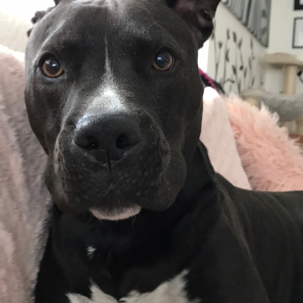 Meet your Posher, Kiana